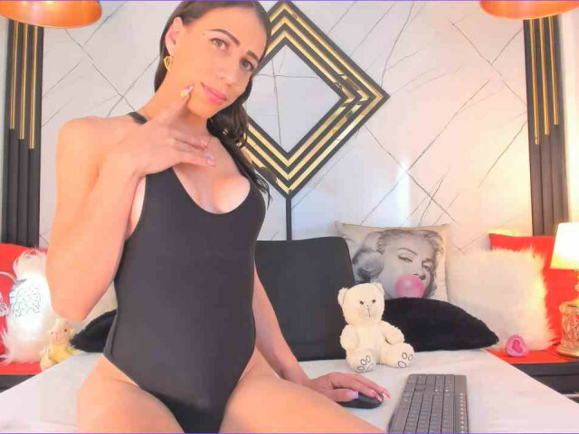  Cam Model