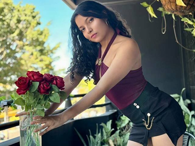  Cam Model