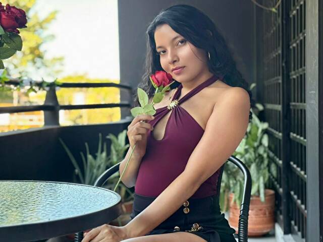  Cam Model