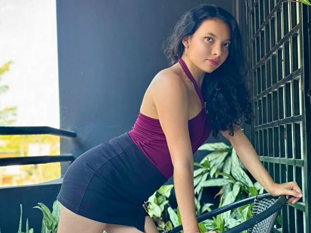  Cam Model