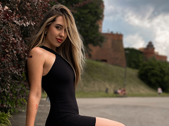 Vinchik online picture 1