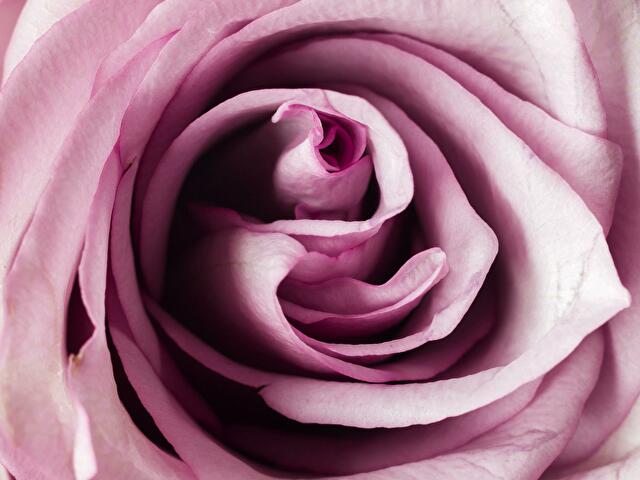 EllaPontes24 online picture 1