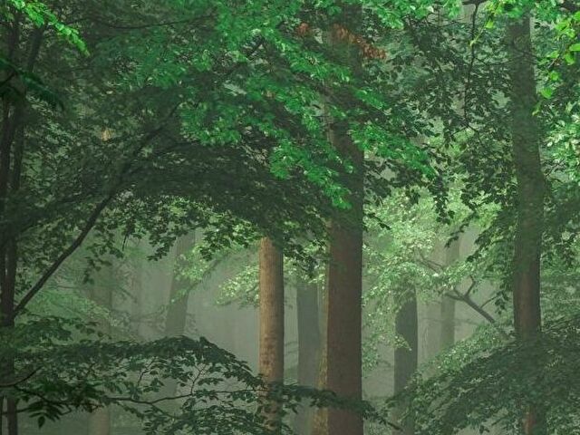 Allenora5434 online picture 3