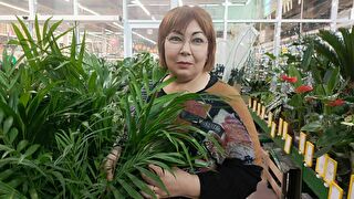 Sexcam avec stelladiva