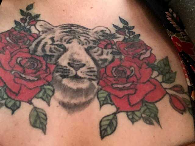 Dadotigresse foto 20