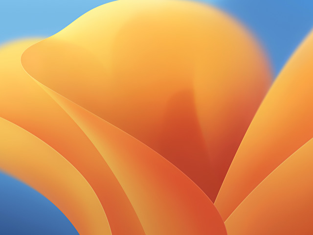 2603mmm online foto 1