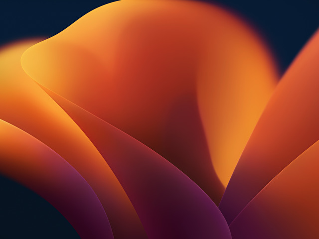 2004mmm online picture 1