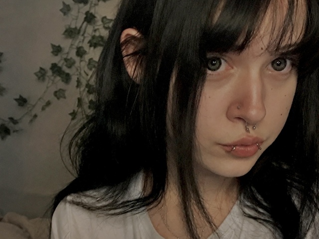  Cam Model