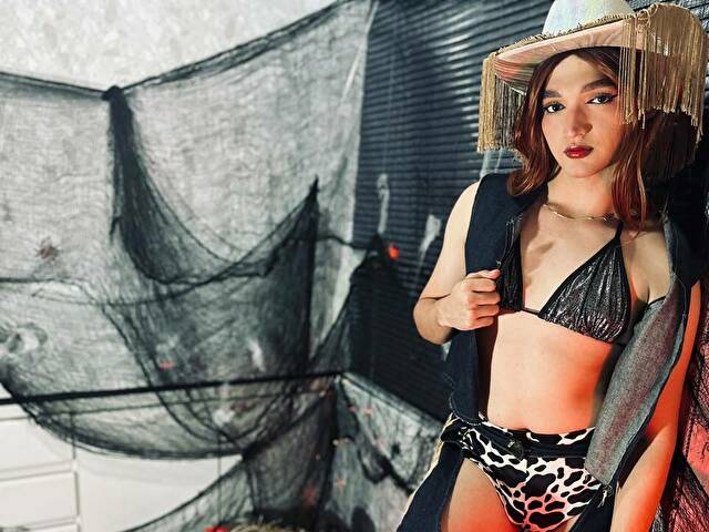  Cam Model