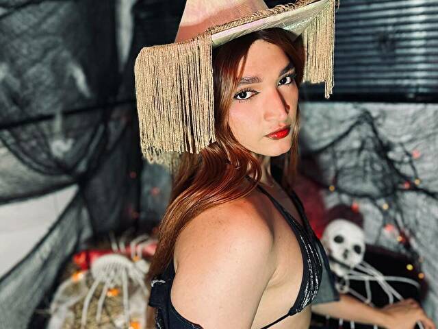  Cam Model