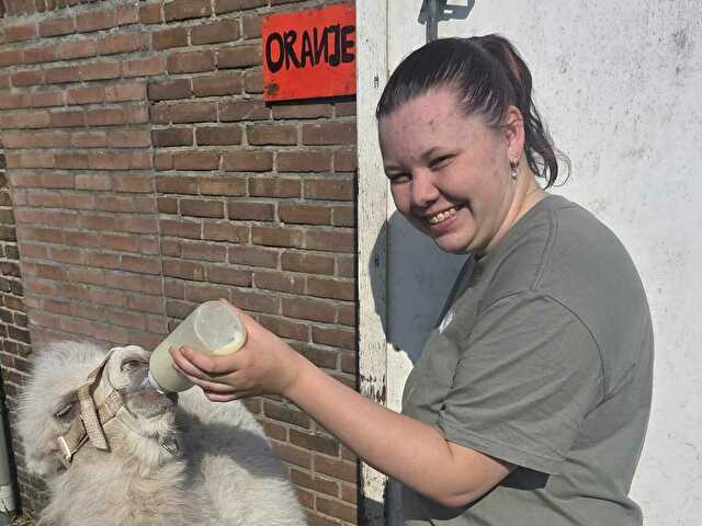 Lyannedonna online foto 3