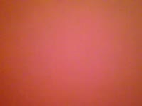 Latest snapshot of MiaElisabeth