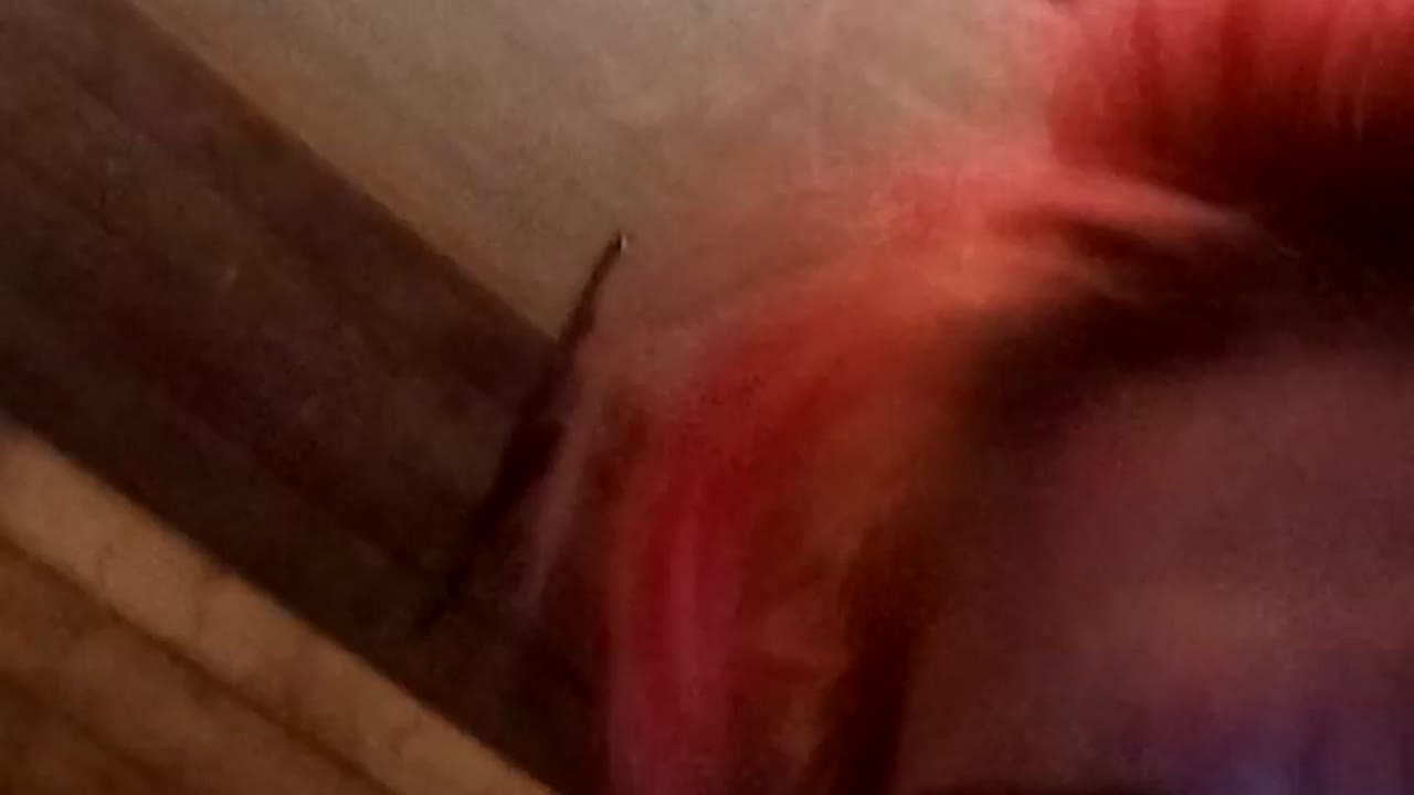 Littlebit en sexcam live - webcam coquine et tchat gratuit