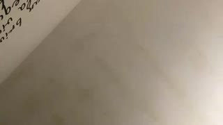 Missjessy111 - sexcam