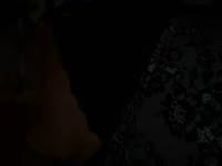 Latest snapshot of Toutibella