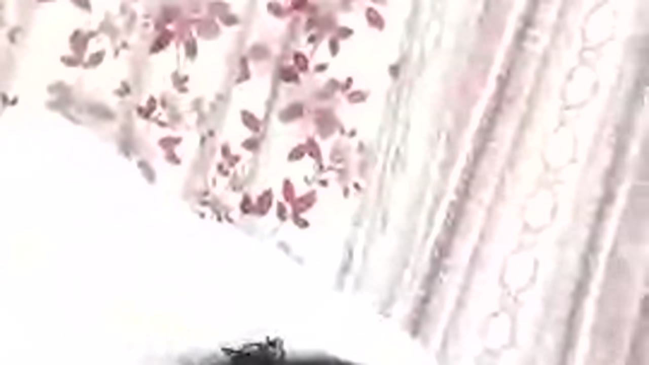 Bounyass en sexcam live - webcam coquine et tchat gratuit