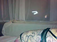 Latest snapshot of Jessysworld