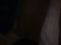 shanachaude preview