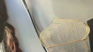 Sexy webcam show met cotylerma