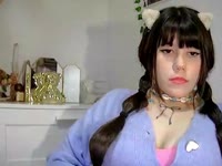 Latest snapshot of LilySunny