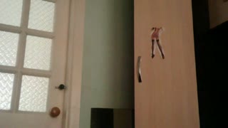 VitaSEXYviRT