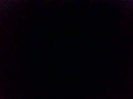Veronik1206