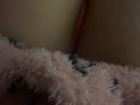 Latest snapshot of xsxskitty