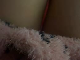 Xsxskitty
