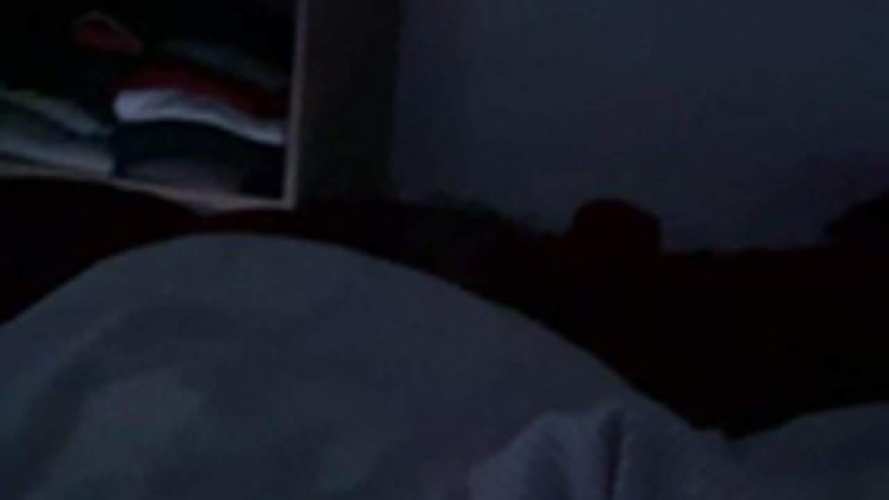 Romaincoquin en sexcam live - webcam coquine et tchat gratuit