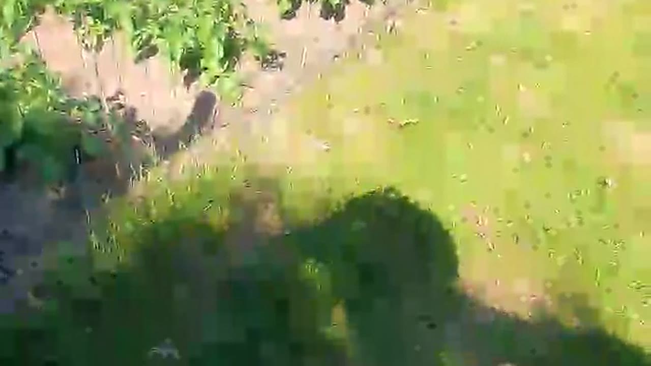 Hottie8312 en sexcam live - webcam coquine et tchat gratuit