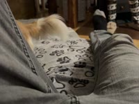 porn live web cam Petuletrany