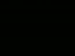 30042025mrtn