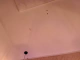 MoonWiny