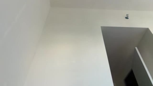 smallfu1