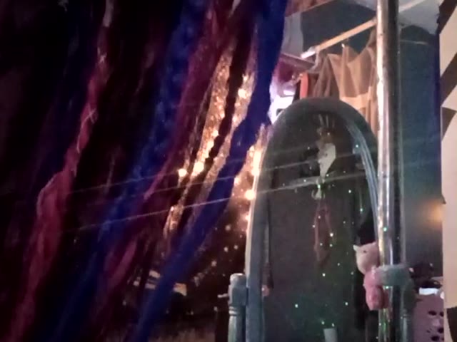 Geile webcamsex met Viveka