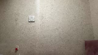 Crystalkitty - sexcam