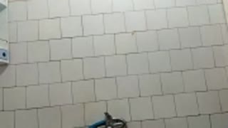 Pussycat1313 - sexcam