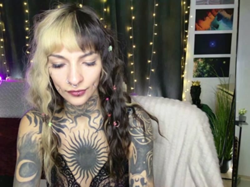 VivVixen webcam yayın görüntüsü, Xcams