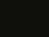 2906mmm