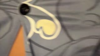 Sarita