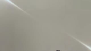 Sexysusu - sexcam