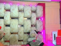 sex live chat HinamiLennox