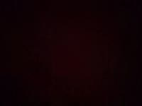 Latest snapshot of Kiciulka