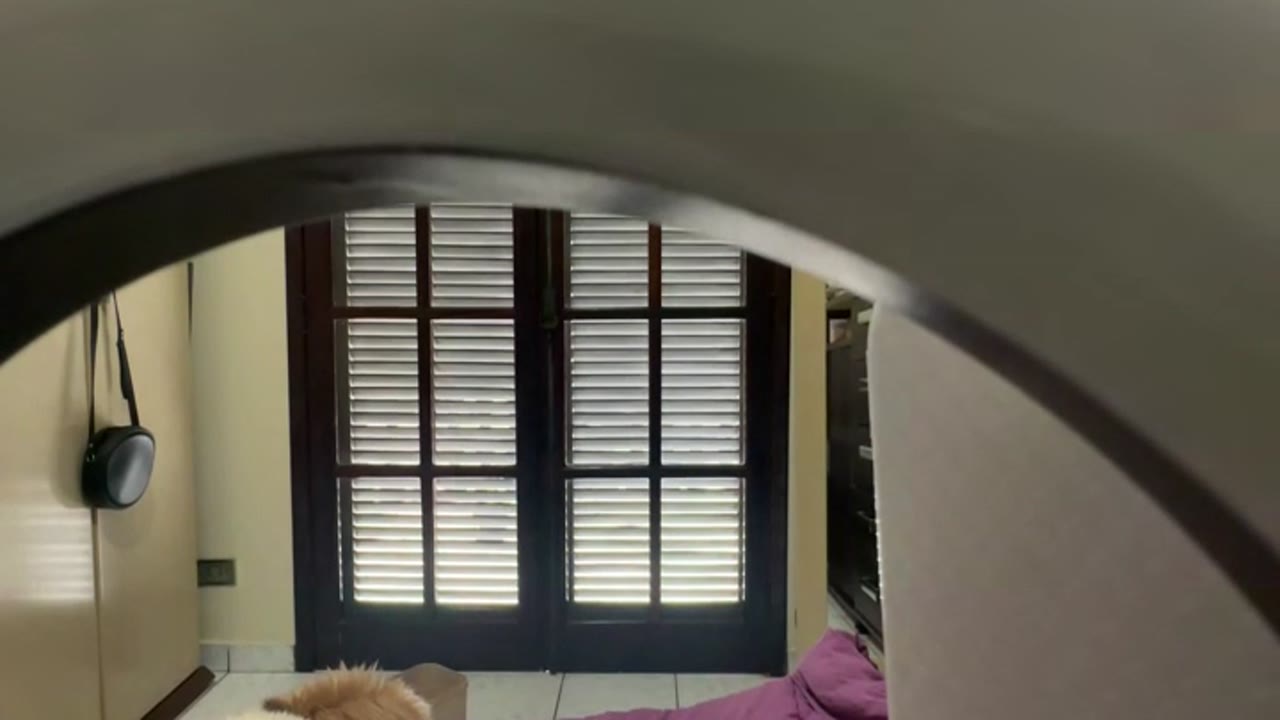 Sexcam avec Cicy