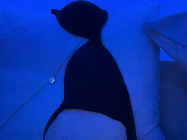 Bellaparker live cam
