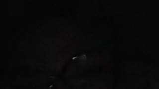 Lmartinez07