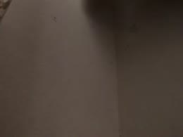 EvaMillerr