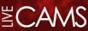 Onlinelivesexgirls