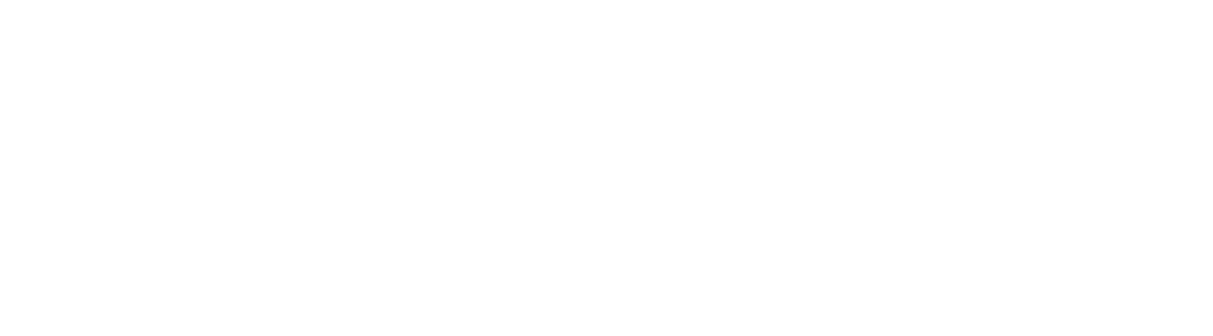 Anelive